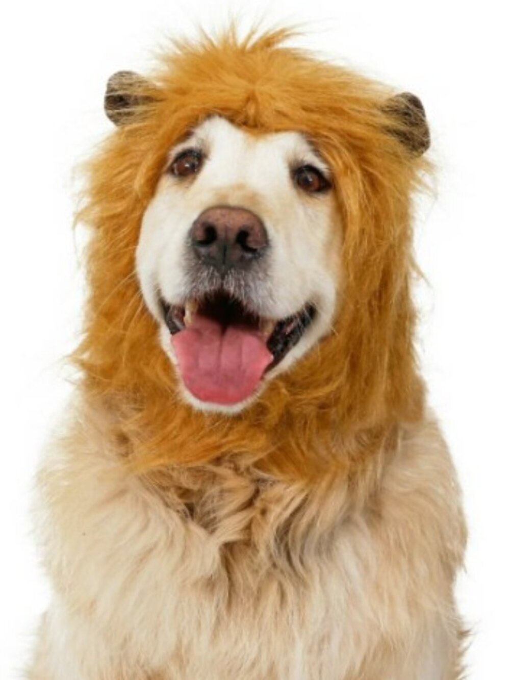 New Lion Mane Hat Dog Pet Halloween Costume Ears Size M/L Includes soft brown ea